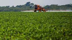 Traktor versprüht Pestizide auf grünem Feld | © Greenpeace / Bruno Kelly