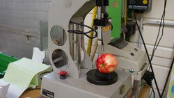 Apfel in Messgerät | © Land schafft Leben