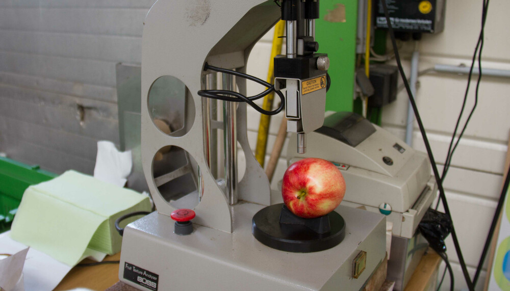 Apfel in Messgerät | © Land schafft Leben