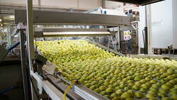 Äpfel auf Fließband | © Land schafft Leben