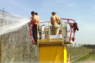Männer hängen Netz über Apfelbäume | © Land schafft Leben