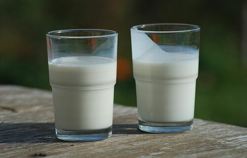 Ein Glas Milch neben einem Glas Buttermilch | © By Ukko-wc (Own work) [GFDL (http://www.gnu.org/copyleft/fdl.html) or CC BY-SA 3.0 (http://creativecommons.org/licenses/by-sa/3.0)], via Wikimedia Commons