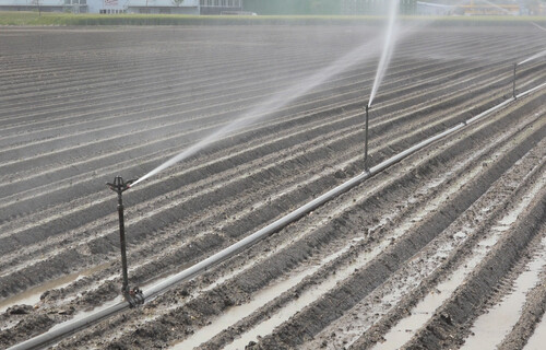 Bewässerungssystem auf Feld | © Land schafft Leben