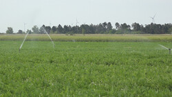 Bewässerungsanlage auf Karottenfeld | © Land schafft Leben
