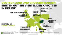Infografik zu den Ländern mit der größten Karottenernte in der EU | © Land schafft Leben