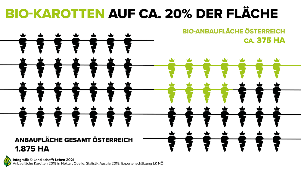 Infografik zu 20% Bio-Anteil bei der österreichischen Karottenernte | © Land schafft Leben