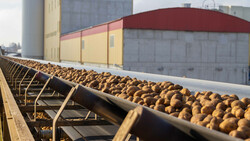 Kartoffeln auf Fließband vor Gebäude | © Land schafft Leben