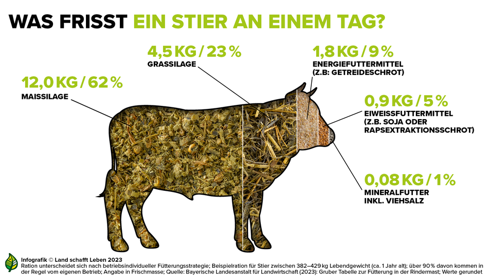 Infografik zur Zusammensetzung vom täglichen Stierfutter | © Land schafft Leben