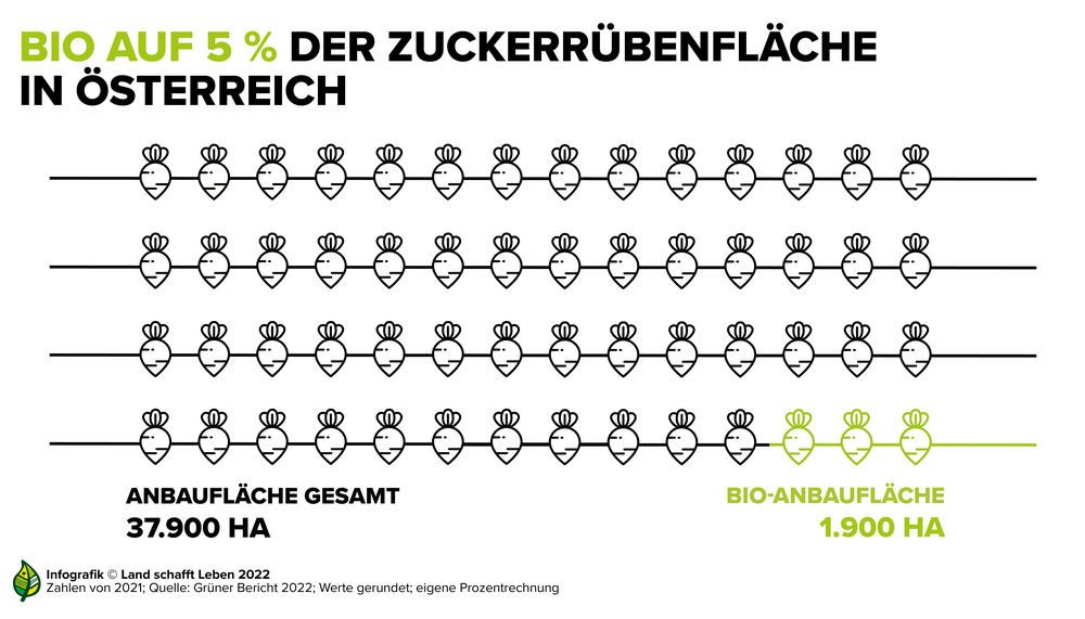Infografik zum Bioanteil an der Gesamtanbaufläche von Zuckerrüben in Österreich | © Land schafft Leben