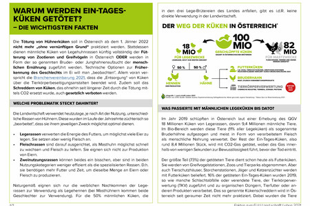 Factsheet Ein-Tages-Küken | © Land schafft Leben