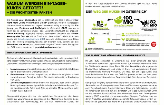 Factsheet Ein-Tages-Küken | © Land schafft Leben