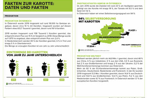 Daten und Fakten zur Karotte | © Land schafft Leben