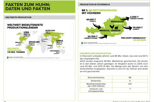 Factsheet Huhn | © Land schafft Leben