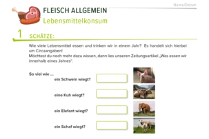 Arbeitsblatt Fleisch | © Land schafft Leben