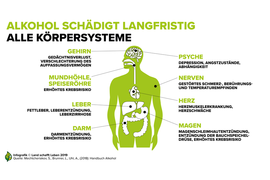 Macht Alkohol Müde Oder Wach Infografiken zum Bier I Land schafft Leben