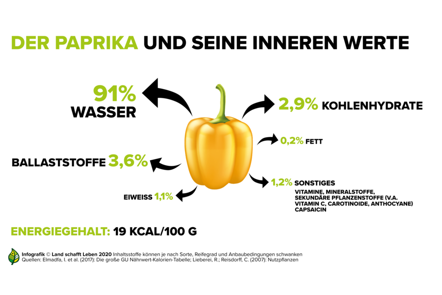 Infografiken zum Paprika I Land schafft Leben