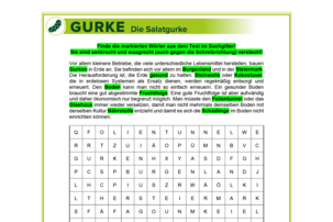 Arbeitsblatt Gurke  | © Land schafft Leben