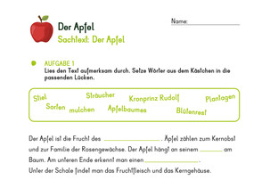 Arbeitsblatt zum Thema Apfel | © Land schafft Leben