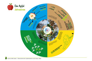 Arbeitsblatt zum Thema Apfel | © Land schafft Leben