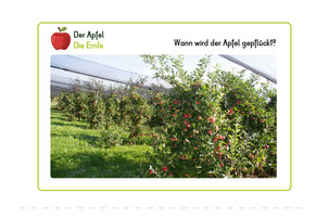 Arbeitsblatt zum Thema Apfel | © Land schafft Leben