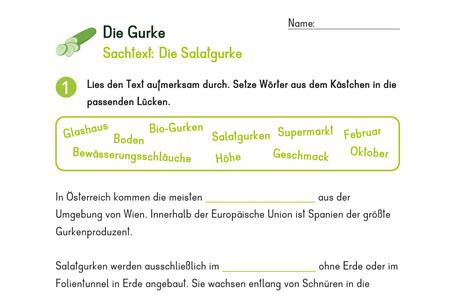 Arbeitsblatt Gurke  | © Land schafft Leben