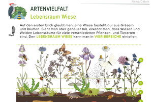 Arbeitsblatt Artenvielfalt | © Land schafft Leben