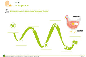 Arbeitsblatt Ei | © Land schafft Leben