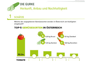 Arbeitsblatt Gurke  | © Land schafft Leben