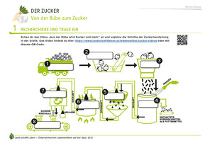 Arbeitsblatt Zucker | © Land schafft Leben