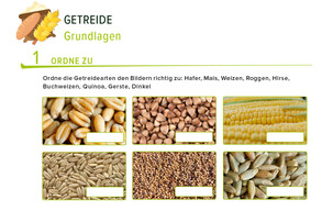 Arbeitsblatt Getreide | © Land schafft Leben