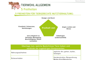 Arbeitsblatt Tierwohl | © Land schafft Leben