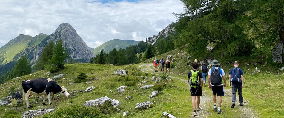 Menschen wandern auf der Alm neben Kuh | © Land schafft Leben