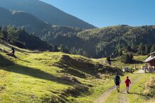 Chancen und Herausforderungen der Almwirtschaft  | © Land schafft Leben 