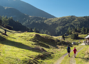 Chancen und Herausforderungen der Almwirtschaft  | © Land schafft Leben 