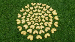 Herzkartoffeln | © Sylvia Astner