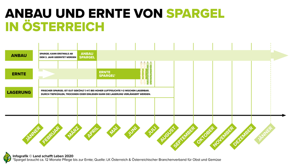 Saison, Gemüse, Österreich, Spargel | © Land schafft Leben, 2020