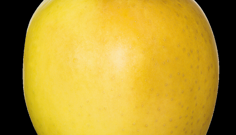 Golden Delicious Apfel | © OPST Obst Partner Steiermark GmbH 