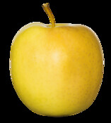 Golden Delicious Apfel | © OPST Obst Partner Steiermark GmbH 