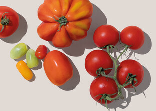 verschiedene Tomaten-Sorten | © Land schafft Leben
