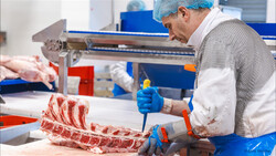 Metzger zerlegt Fleisch mit Messer | © © Anna Stoecher