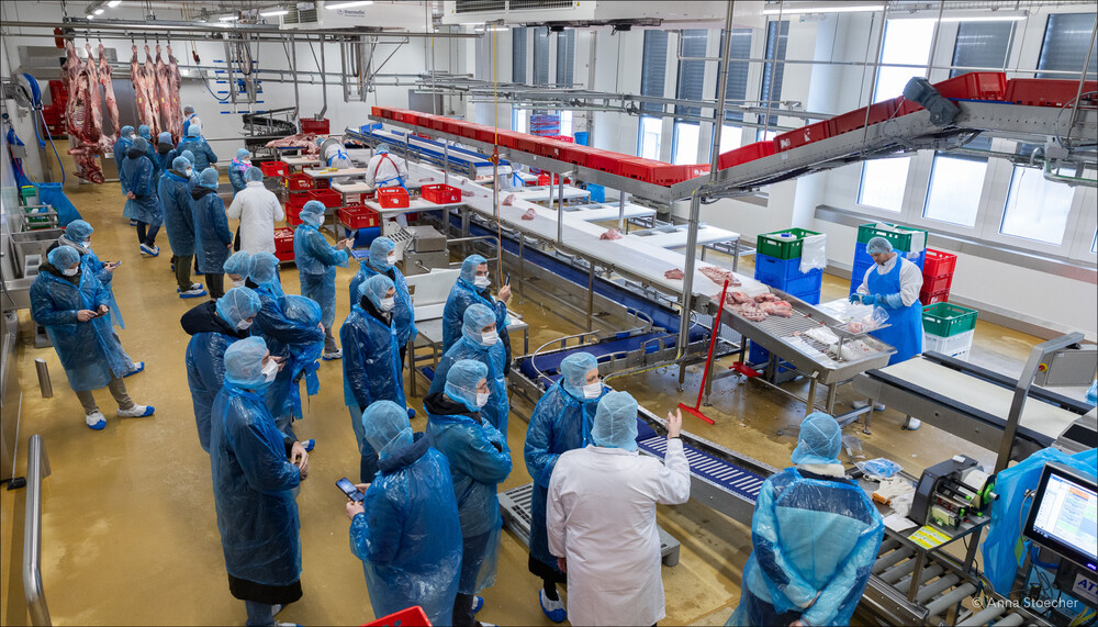 Laufband bei Fleischwaren Höllerschmid | © Manfred Höllerschmid von Fleischwaren Höllerschmid