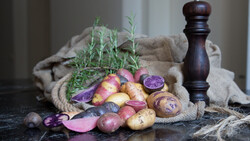 Kartoffelvielfalt made in Lungau by Hans Moser | © Land schafft Leben 2018