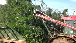 hops harvest | © Land schafft Leben, 2018