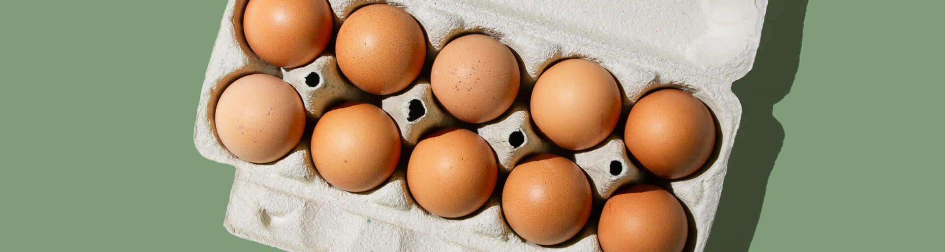 10 Eier im Karton | © Land schafft Leben