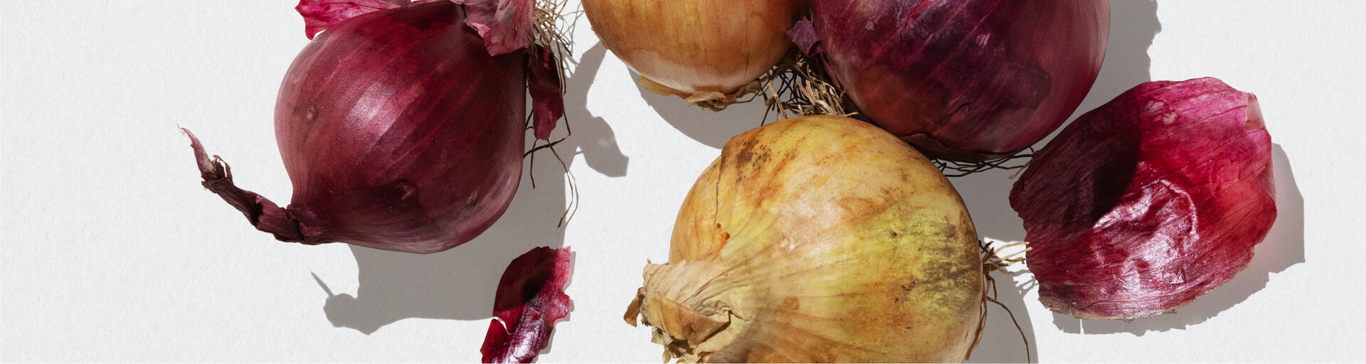 gelbe und rote Zwiebeln | © Land schafft Leben
