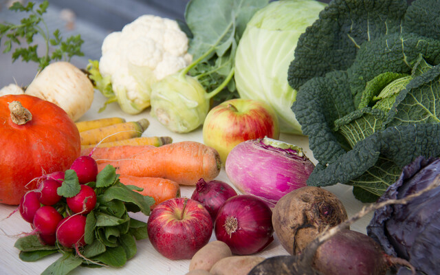 frische Lebensmittel, apfel, rübe, kürbis, gemüse, obst | © Land schafft Leben, 2021