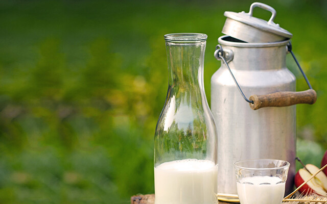 Milchkanne neben Glaskrug und Glas mit Milch | © Land schafft Leben