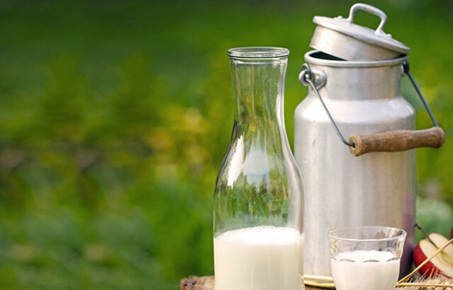 Milchkanne neben Glaskrug und Glas mit Milch | © Land schafft Leben