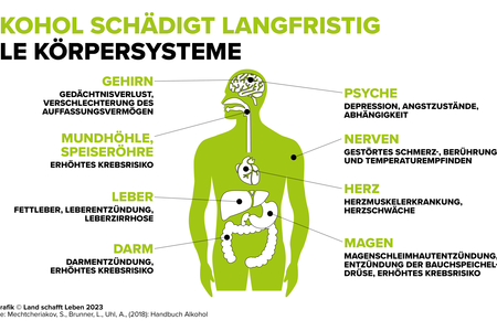 Infografik zu den Auswirkungen von Alkohol auf Körpersysteme | © Land schafft Leben