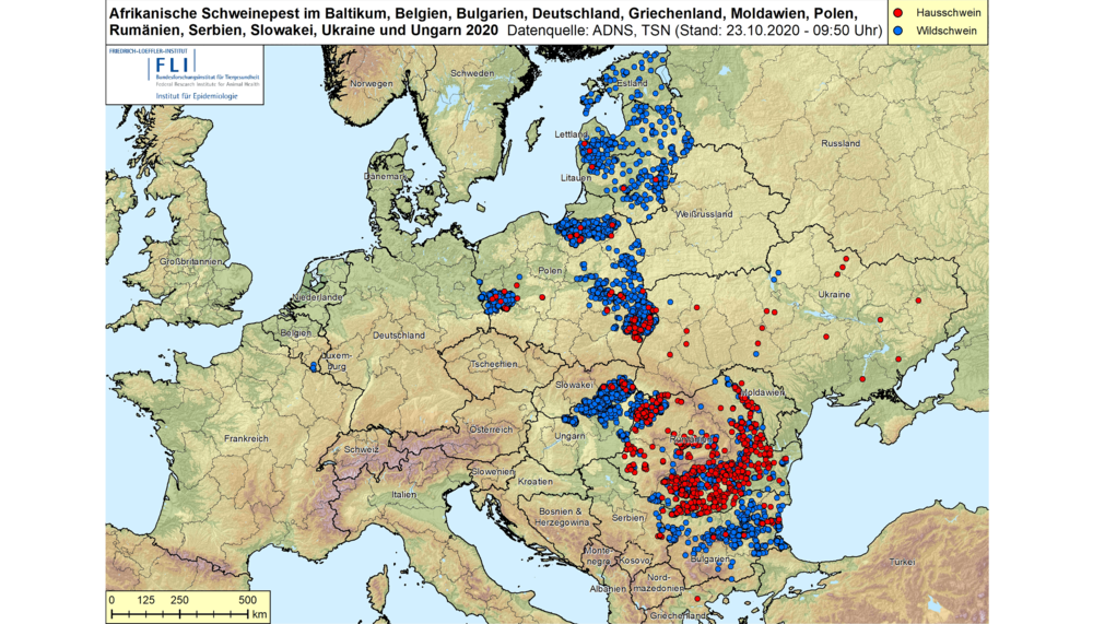 Europakarte zur Ausbreitung der afrikanischen Schweinepest (Stand: 23.10.2020) | © Friedrich-Loeffler-Institut